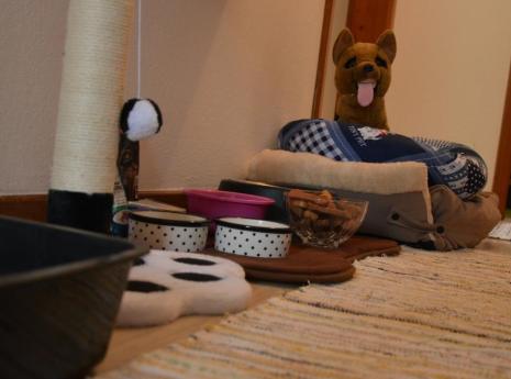 Cosy bed, a bowl and welcome treats blog-hundespezialist-sonngarten-08