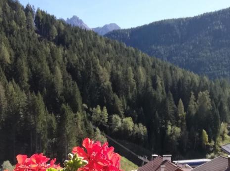 .. With view of the Latemar blogbeitrag-hauspichler03