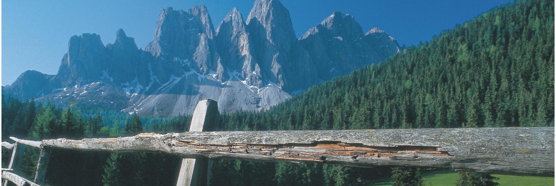View over an old wooden fence towards the majestic peaks of the Dolomites and a dense conifer forest.