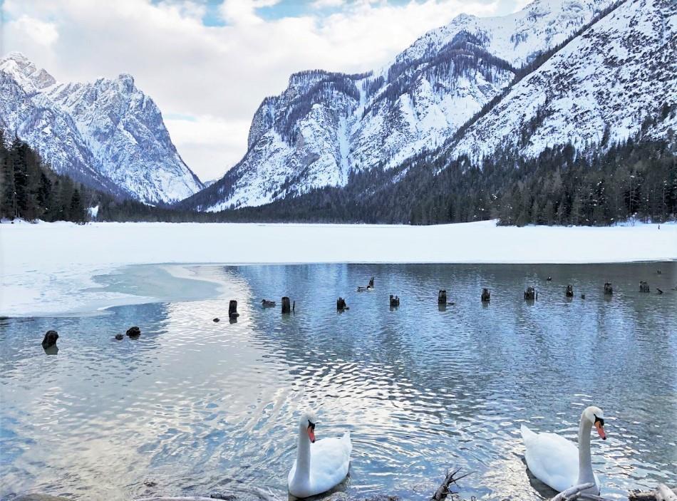 The Toblach Lake blogbeitrag-insidertipps-eden-05